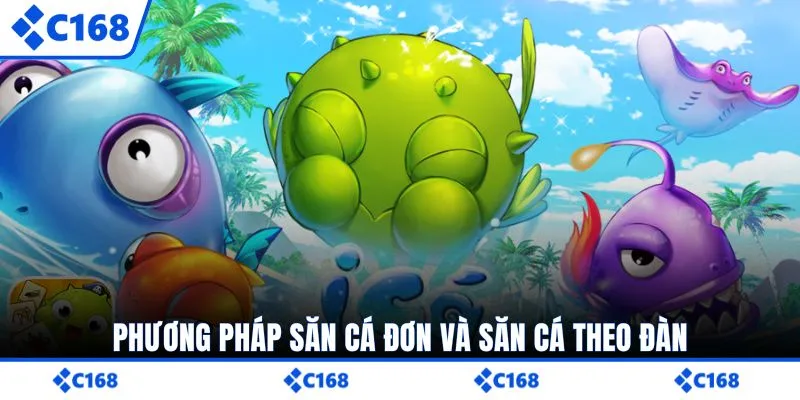 Phương pháp săn cá đơn và săn cá theo đàn 